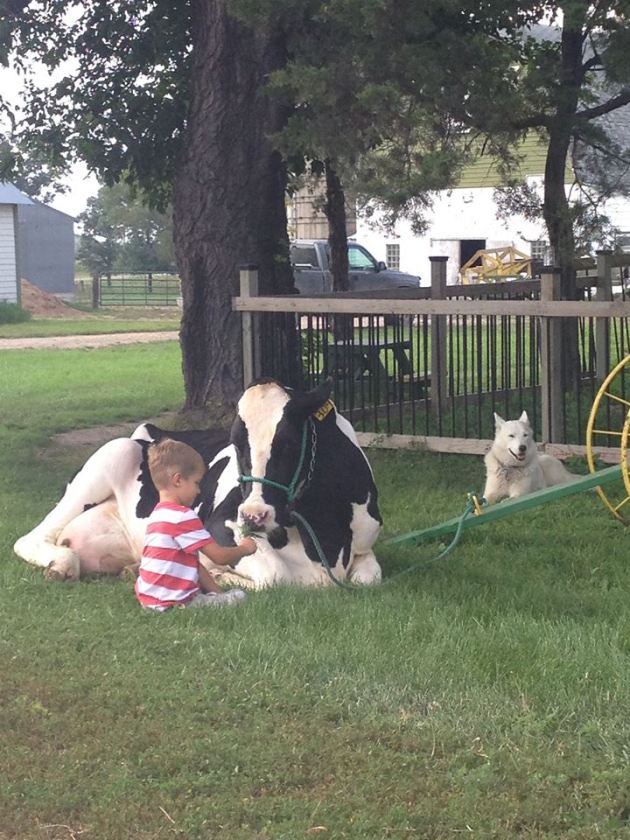 10252000_10152663943988688_5787653379719412051_n