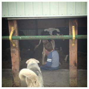 Everett & Eva standing guard