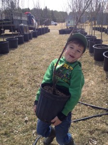 Everett helped me pick out some Lilac bushes.  I love Lilacs!