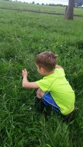 The Elephants are right there! Don't you see them?