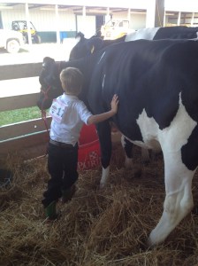 Making sure everybody is ring ready