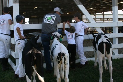 Waiting to get in the ring