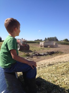 Everett watching the loads come in from the top of a silage pile
