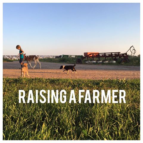 20245591_1990367287863842_6484203037115654310_n